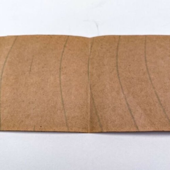 I Conquered Space Mountain Disneyland Bumper Sticker 1977 For Cast Members Only - Picture 8 of 10